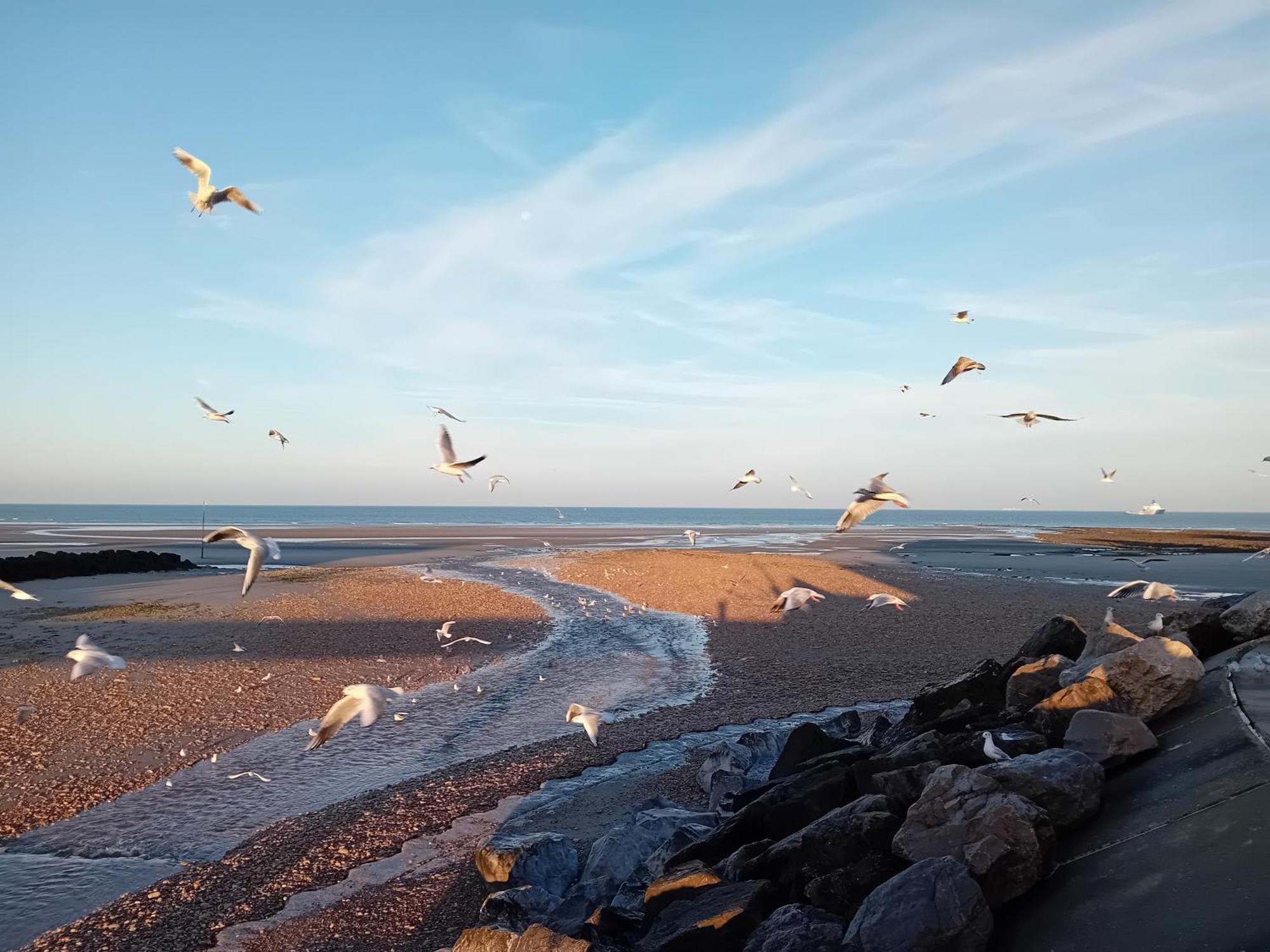 Thalassa Audresselles Exteriör bild